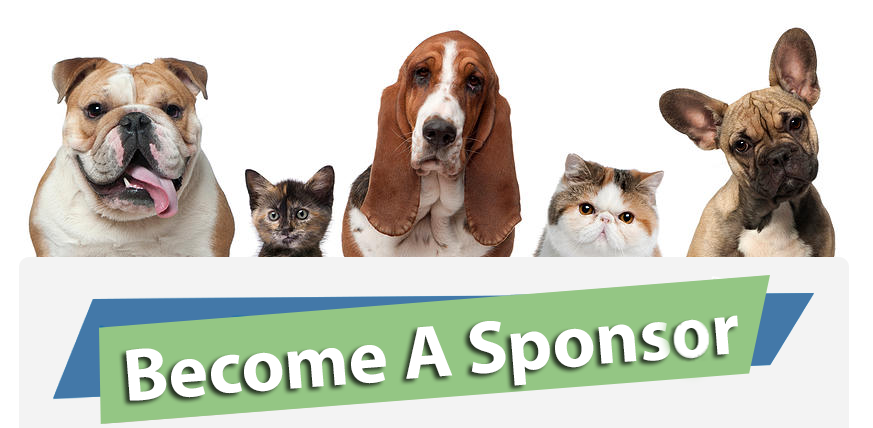 Sponsorship – Starting Over Animal Rescue