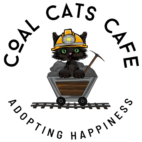 The Coal Cats Cafe logo featuring a black cat with mining gear in a mine cart.