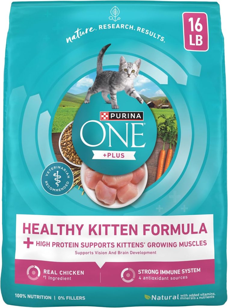 A cat food bag of Purina ONE Healthy Kitten Formula Chicken.
