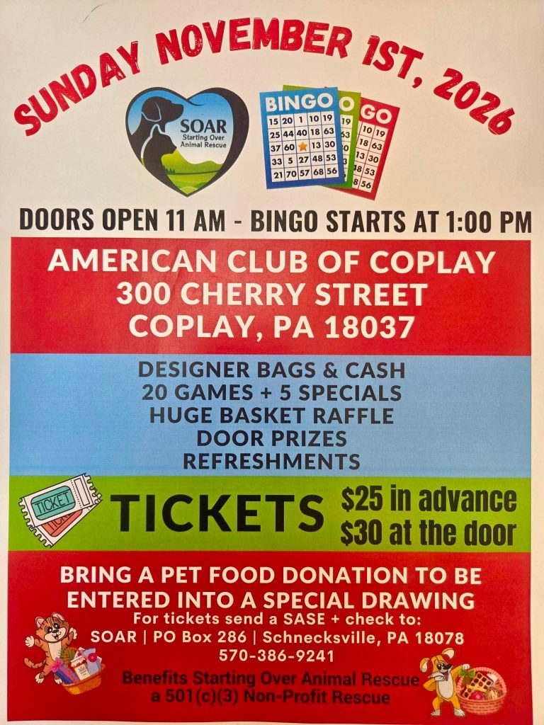 Flyer for SOAR Bingo 2026.